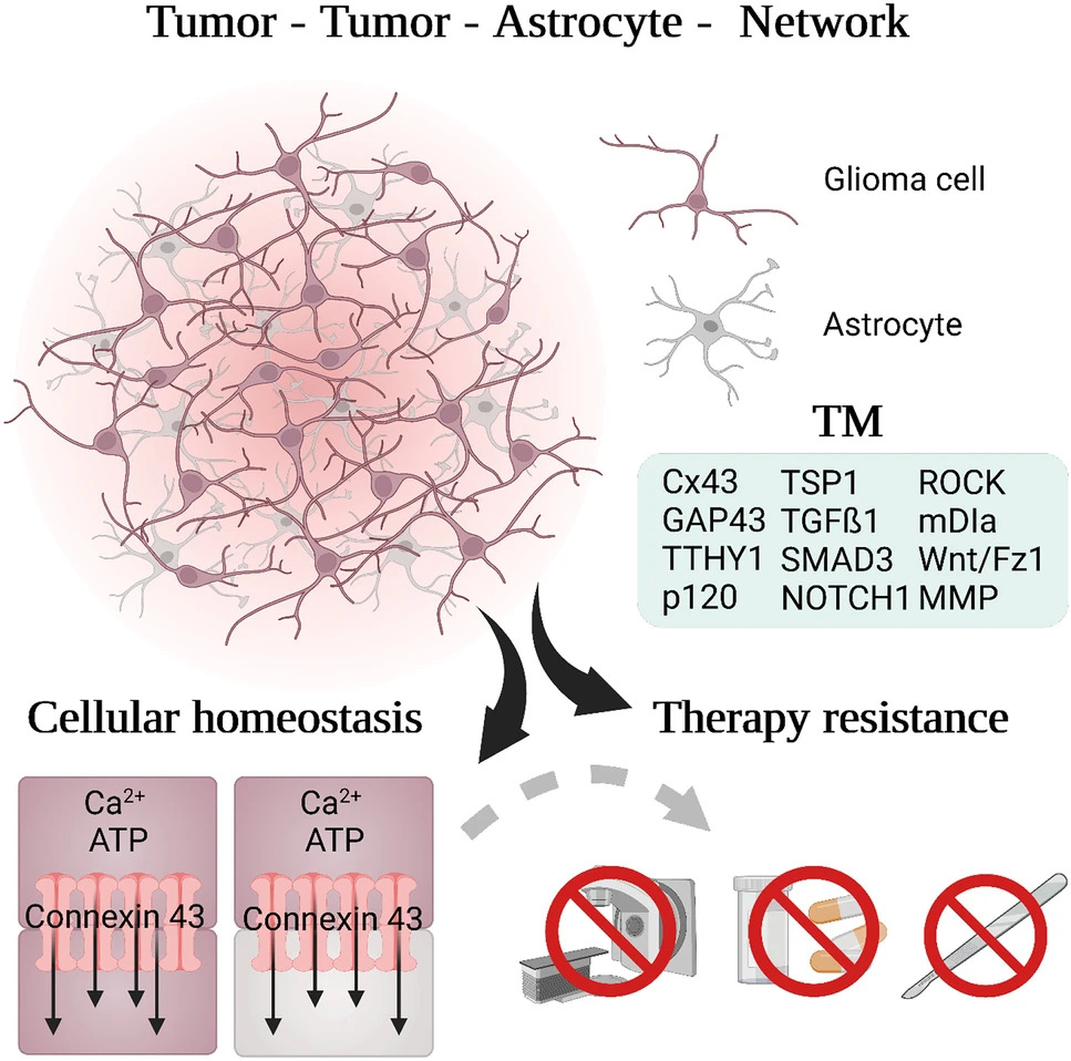 Varun Venkataramani tweet media