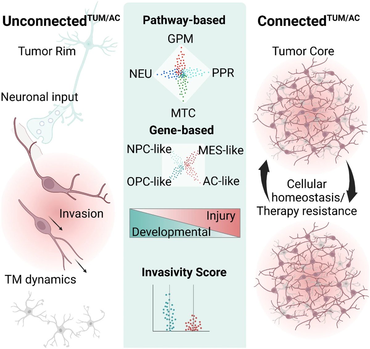 Varun Venkataramani tweet media