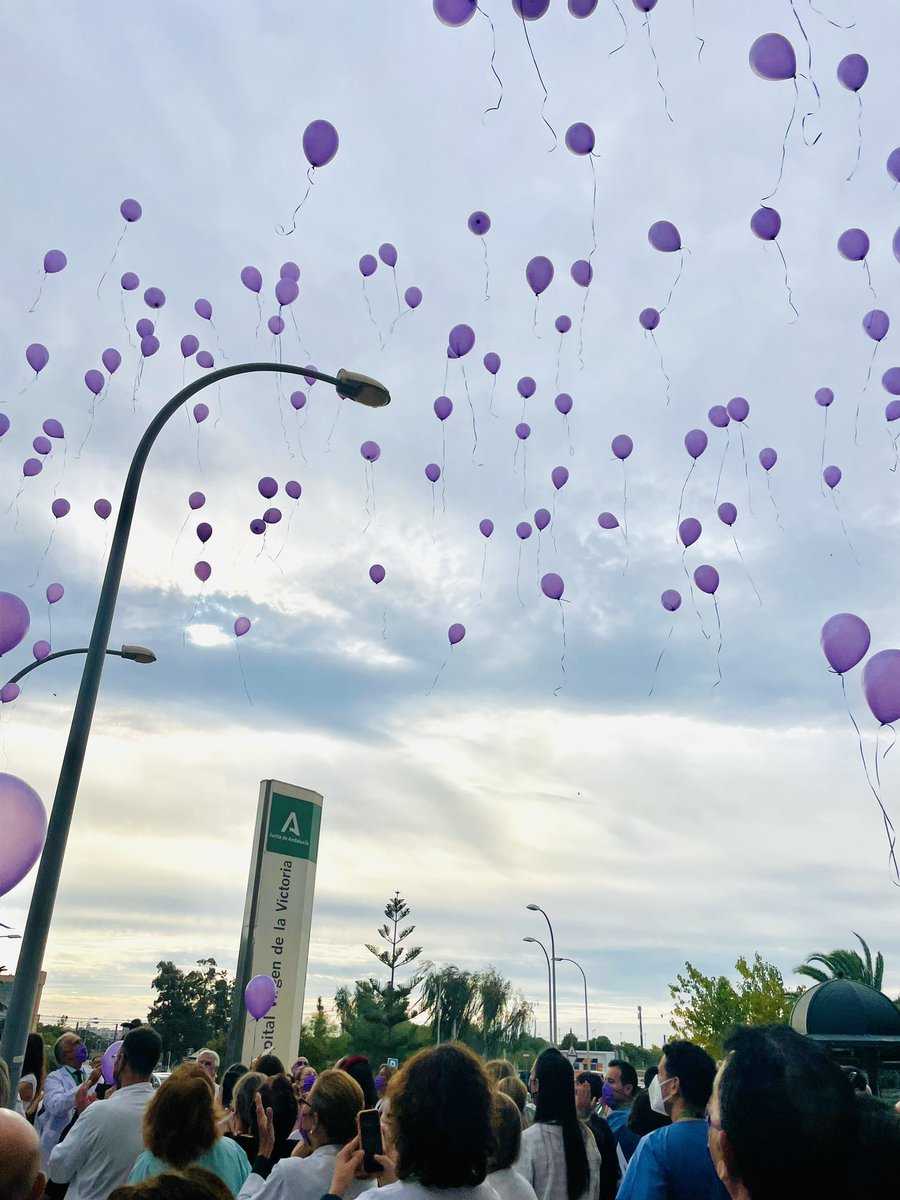 Laraiko's tweet photo. Hoy celebramos el Día Internacional contra la Violencia de Género en el HUVV #ViolenciaDeGenero #diainternacionalcontralaviolencia #huvv #malaga https://t.co/KwWG5lJyCX
