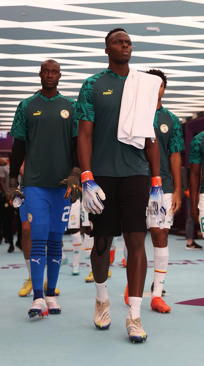 🇸🇳