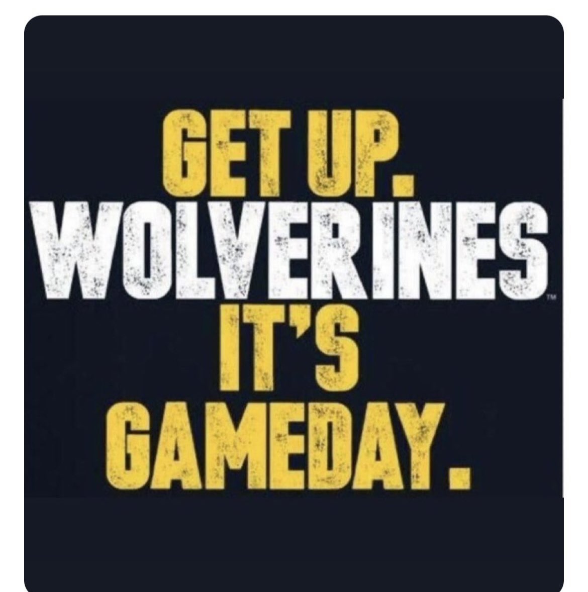 thetoolshedd's tweet photo. Thanksgiving is …
Faith 
Family 
Friends 
Food &amp;
Football 

To do: 
Online shopping 
Nap
Turkey sandwich 
USA in World Cup
Repeat 
See rain stop
Then head to @pacsfootball1 for tonight’s State Quarterfinal Football match up with Metter @ 730
See you there! 

#RIB3 #lGlo #tGbtg https://t.co/uH2iBBVPoq