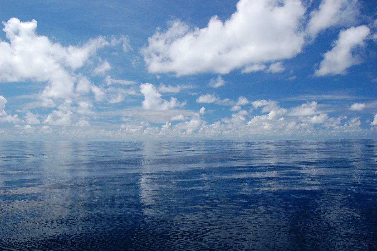 #Funding Opportunity! @OA_NOAA seeks proposals focused on expanding our understanding of marine carbon dioxide removal, the co-benefits/risks, and science required to build regulatory frameworks. Apps due Feb 28, 2023: bit.ly/3F3T4gd. #MarineCDR #mCDR