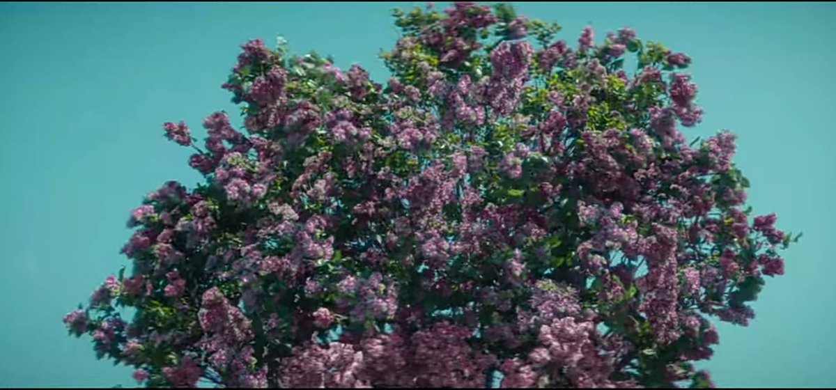 kdramadaisy's tweet photo. #FirstLove初恋 aesthetically pleasing cinematography and color grading.

a thread. https://t.co/gJXoWl7Wv1