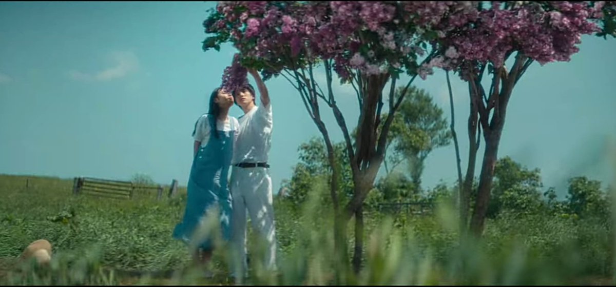 kdramadaisy's tweet photo. #FirstLove初恋 aesthetically pleasing cinematography and color grading.

a thread. https://t.co/gJXoWl7Wv1
