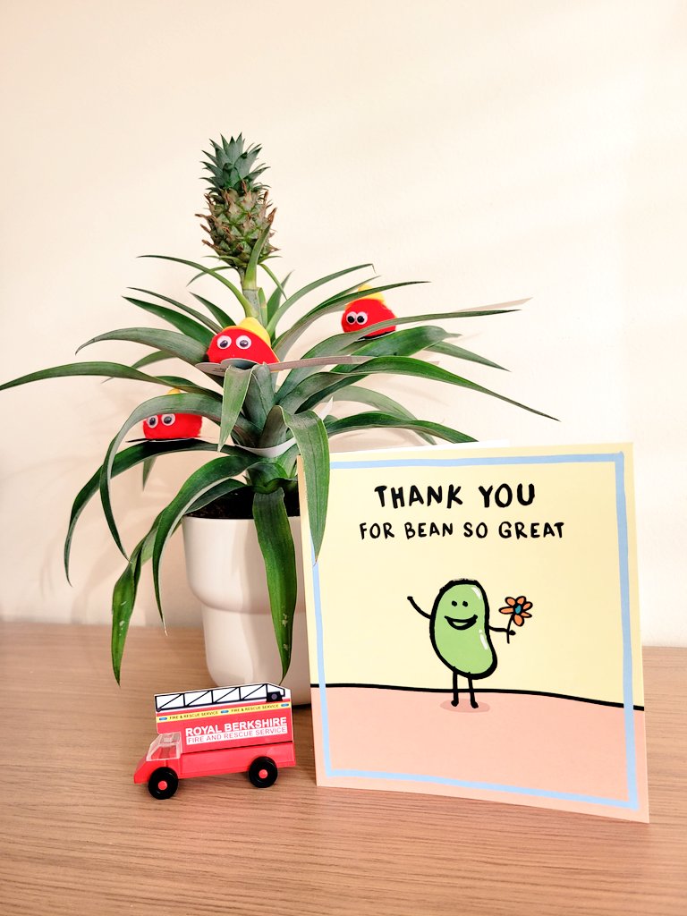 Ten weeks later, third and final practice placement is finished. A fantastically useful and enjoyable experience to take away, along with a new tropical houseplant addition from my lovely fire service colleagues 🚒🍍. Two semesters to go...