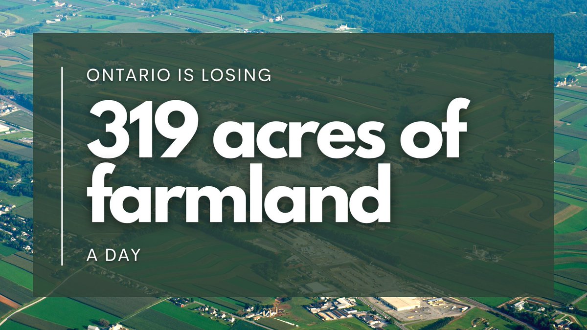 🚨Ontario is losing 319 acres of farmland daily. We're extremely concerned #Bill23 will further escalate the loss of #ontag farmland. #HomeGrown, #localfood matters. Once farmland is paved it's gone forever. Help share this message by signing our homegrownofa.ca campaign