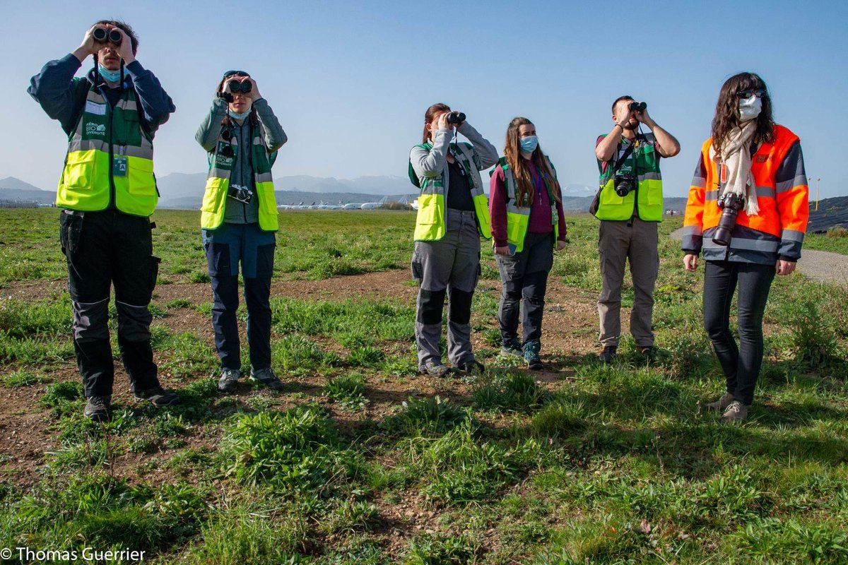 agepac's tweet photo. Particulièrement au fait des enjeux environnementaux qui impactent notre secteur, l’AGEPAC souhaite porter au premier plan de son gala des 30 ans le thème Aérien et Environnement.

C’est pourquoi @AeroBiodiv sera présent lors de cette soirée !
Pour venir : https://t.co/x5daQJOy8F https://t.co/lgeaLZN6HY