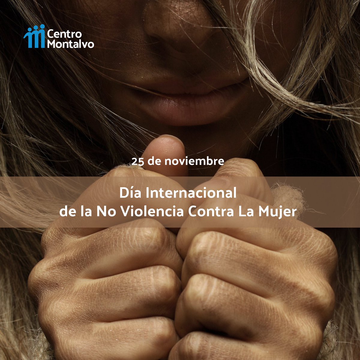 Día Internacional de la No Violencia Contra La Mujer