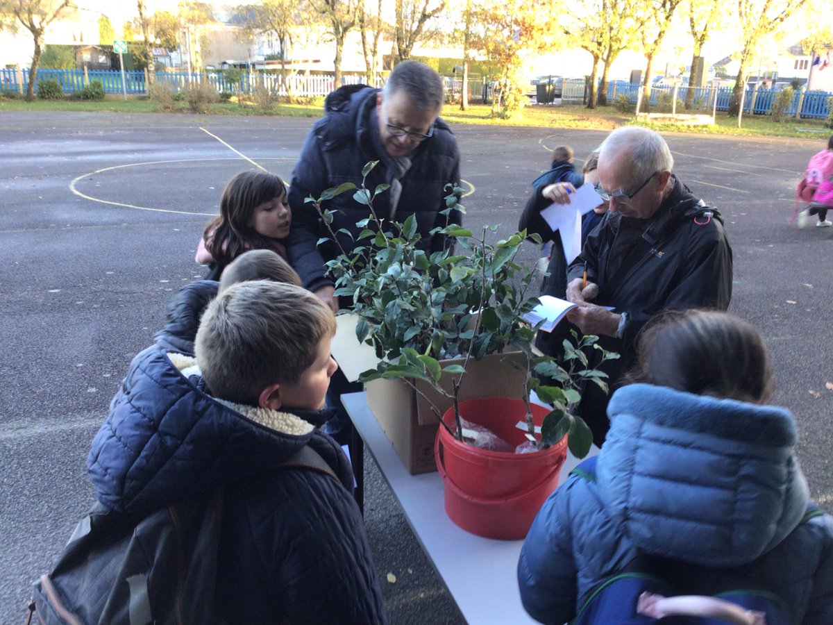 JpFerte's tweet photo. Remise des pommiers aux cm2. Les élèves avaient greffé leurs pommiers au printemps avec l’association des croqueurs des pommes et après quelques mois de croissance il est l’heure de les planter dans les jardins. Vivement la récolte. https://t.co/fVDUYXHObk