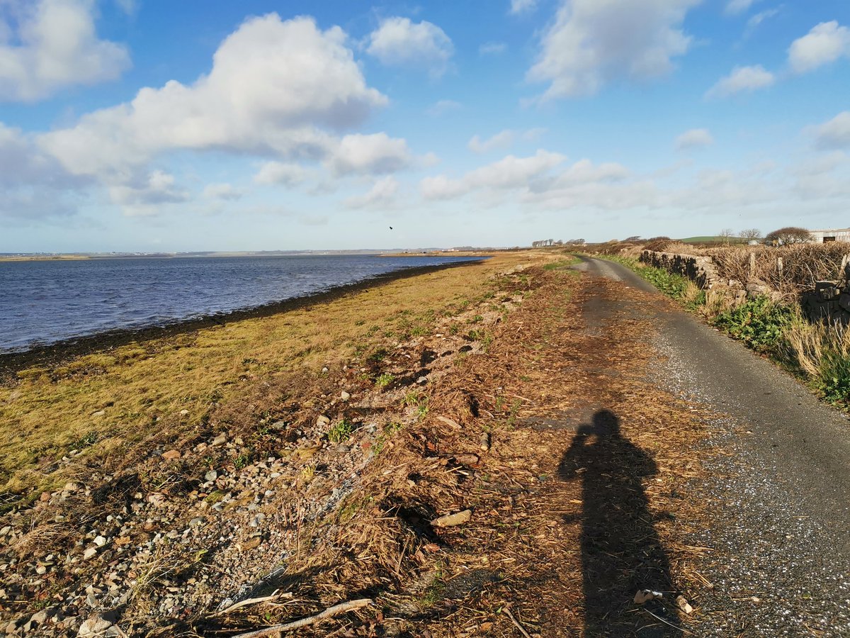 GreenLaneBikeT1's tweet photo. A weather window to recce a @BritishCycling #Breeze @BreezeCycling ride which will be available shortly! (Can't guarantee tide will be in!) #Caernarfin #YForyd #volunteering #cycling https://t.co/jOzvYxOamr