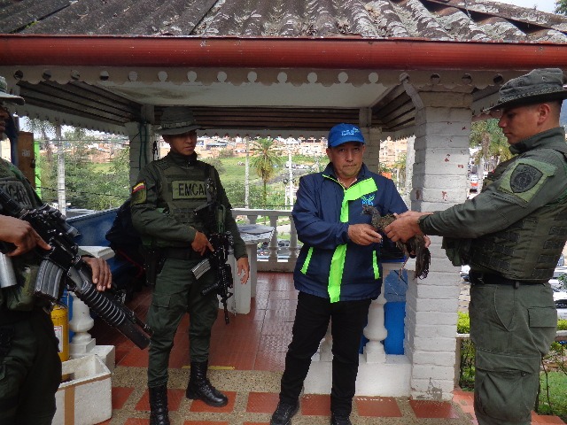 CAR Cundinamarca tweet media