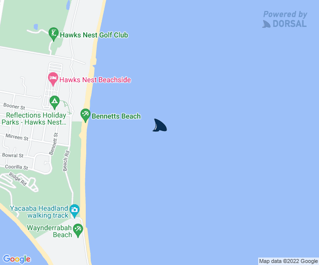 Dorsal Shark Reports on Twitter "Official SharkReport NSW