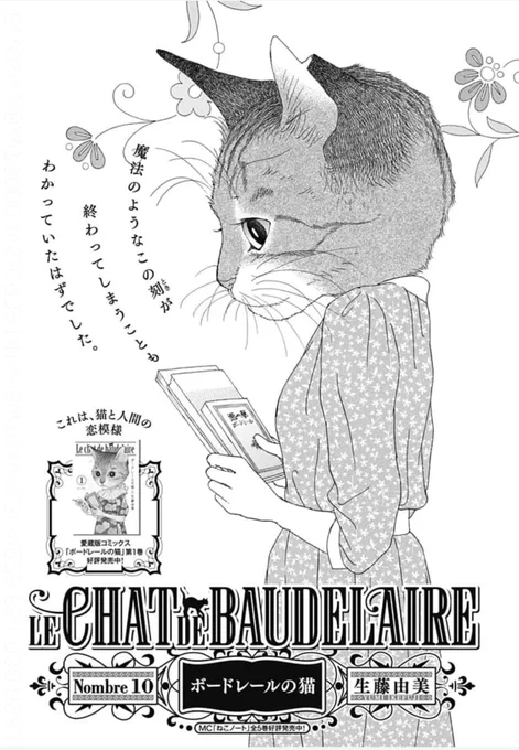 ⑦\#クッキー 1月号発売中/

「ボードレールの猫」#生藤由美 
📚体は人間、首から上は猫の姿となった私。一体なぜ!?

【電子版限定】
好評連載中🍪
「グッドモーニング・キス」 #高須賀由枝 

3枚目は電子版の目次です🙌
Editor's Talkで書く内容、募集中(37) 