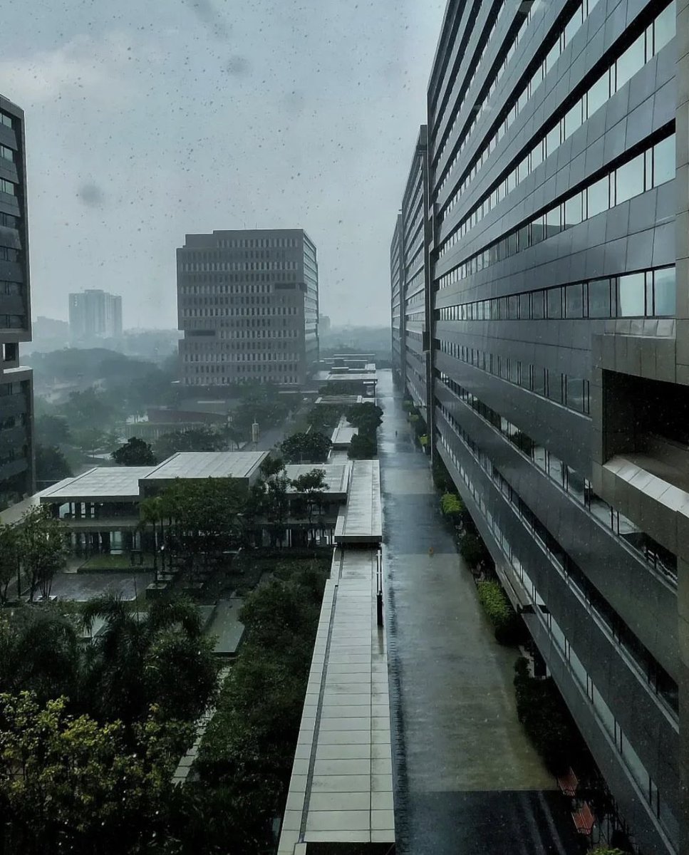 cryptoghost02's tweet image. Rainy morning  pinftagram.com/indivtoken?tok…  @pinftagram @PinftagramMP  #nftmarketplace #nftminting #bscgem #nftminting #nftart #nftartist #nftcollectibles #nftartgallery #nftcommunity #nftinvestor #pinftgram #bscgem #nftmint #nftcollectors