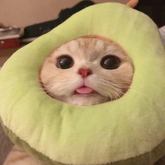jeontears_'s tweet photo. — 🥑 https://t.co/L8k5NuTO3p