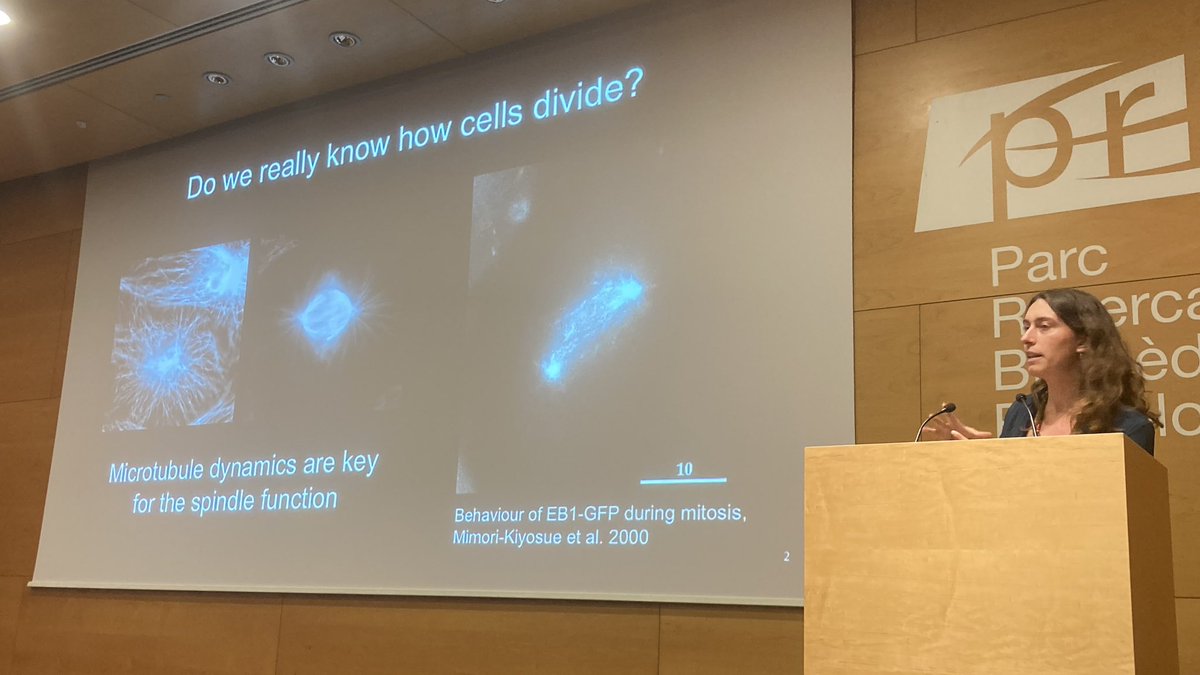 Centre for Genomic Regulation (CRG) (@crgenomica) on Twitter photo The last session of the symposium starts with Núria Prat from Vernos lab (<a href="/DivIDE_Vernos/">DivIDE_Vernos</a>) on her incredible work on the regulation of the k-fiber microtubule minus ends 🔬🔚 #cellbio #CRGPhDSymp2022 The last session of the symposium starts with Núria Prat from Vernos lab (<a href="/DivIDE_Vernos/">DivIDE_Vernos</a>) on her incredible work on the regulation of the k-fiber microtubule minus ends 🔬🔚 #cellbio #CRGPhDSymp2022