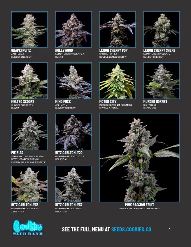 cookiesglobal's tweet photo. The Cookies Seed Bank 🏦 is now open!  https://t.co/Es5V04uNhg https://t.co/G0bJlRoW4r