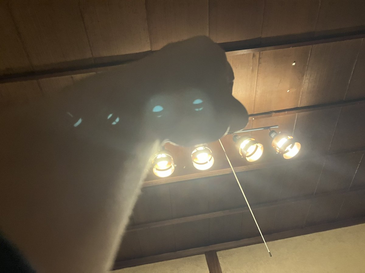 小林 勝行 (@maruikatsuyukik) on Twitter photo 