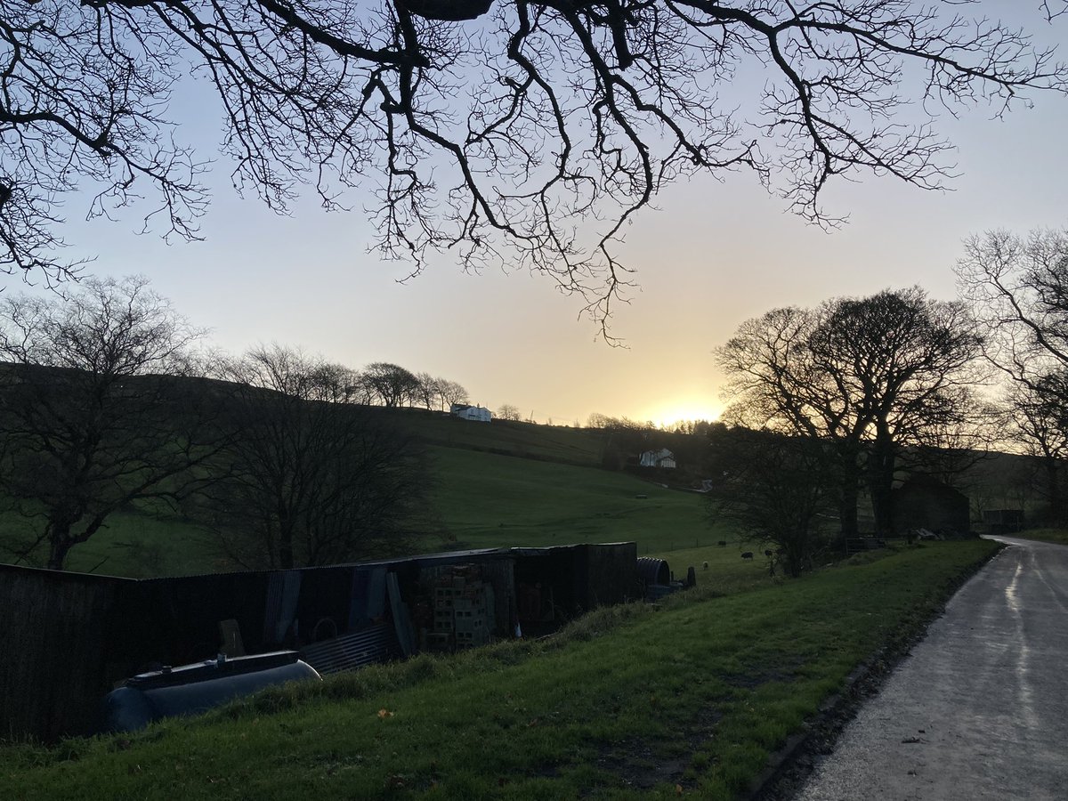 hselftax's tweet photo. Well my #LearnToRun course with @RunningBearShop is clearly working - managed a full (slow) 5k this morning with my friend! And a beautiful day for it too.
#SlowAndSteadyBear https://t.co/tk7gIZFLyf
