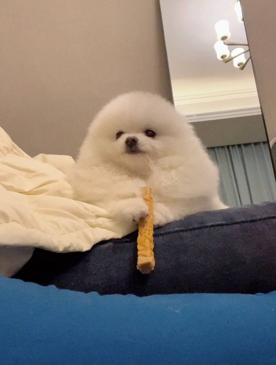 Such a cute look, who can not love