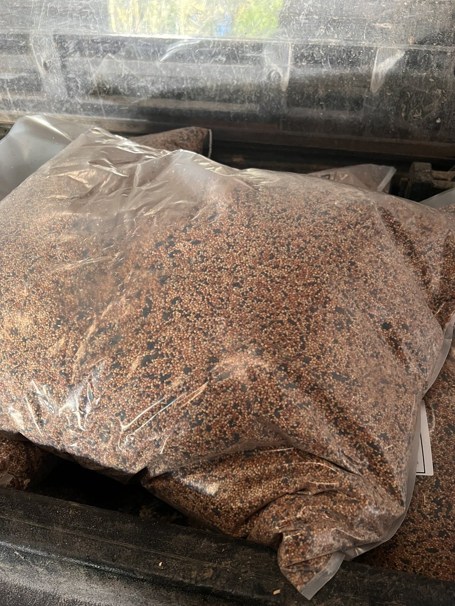 Gamekeeper10's tweet photo. That time of year again
Keeping the #farmlandfeeders filled up #conservation #hungergap #winterfeeding #gamekeepingpartofthejob https://t.co/2fydkvnMFV