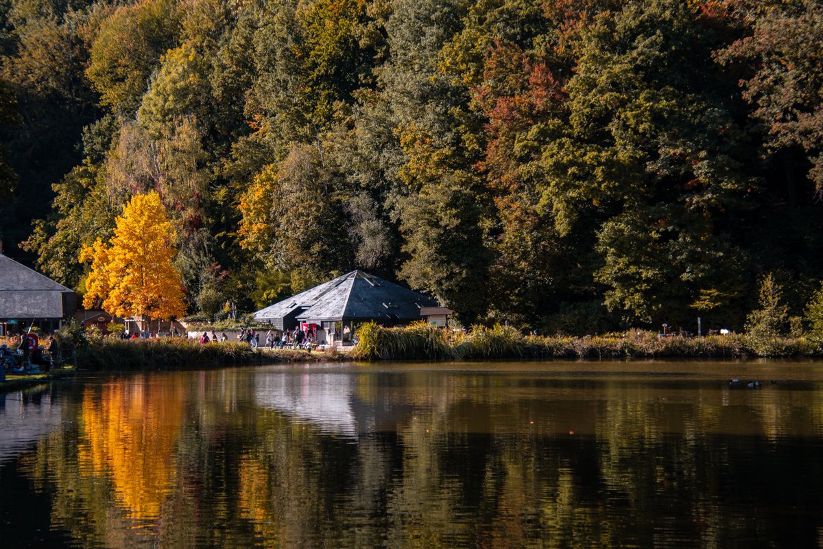 olijayu's tweet photo. Je commence avec des photos de nature prises cet automne 🍂 C’est vraiment ma saison préférée ☺️ https://t.co/ppvYmkIWII