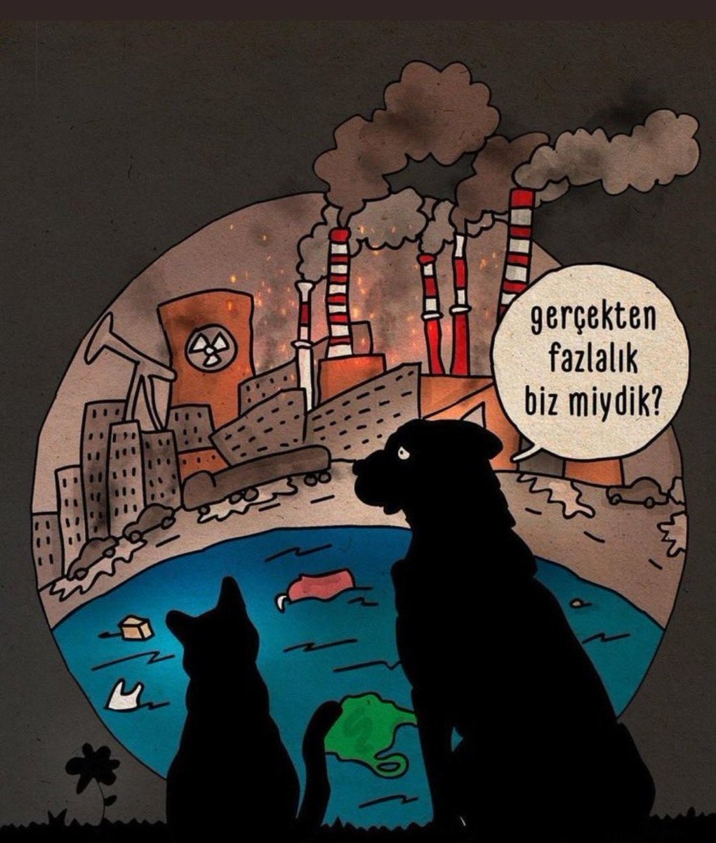 Askin Turgut Turan (@unicorft) on Twitter photo 