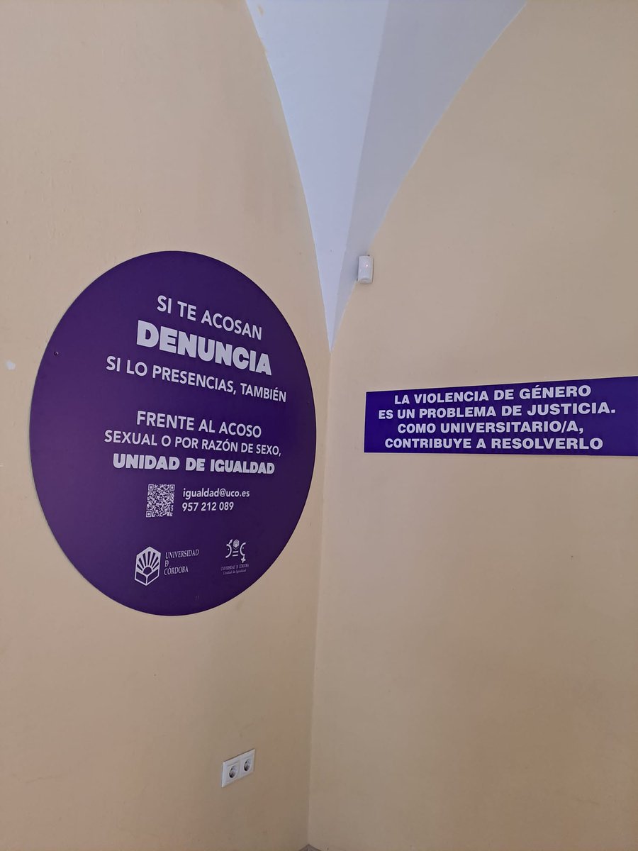 Derecho y CCEE y EE tweet media