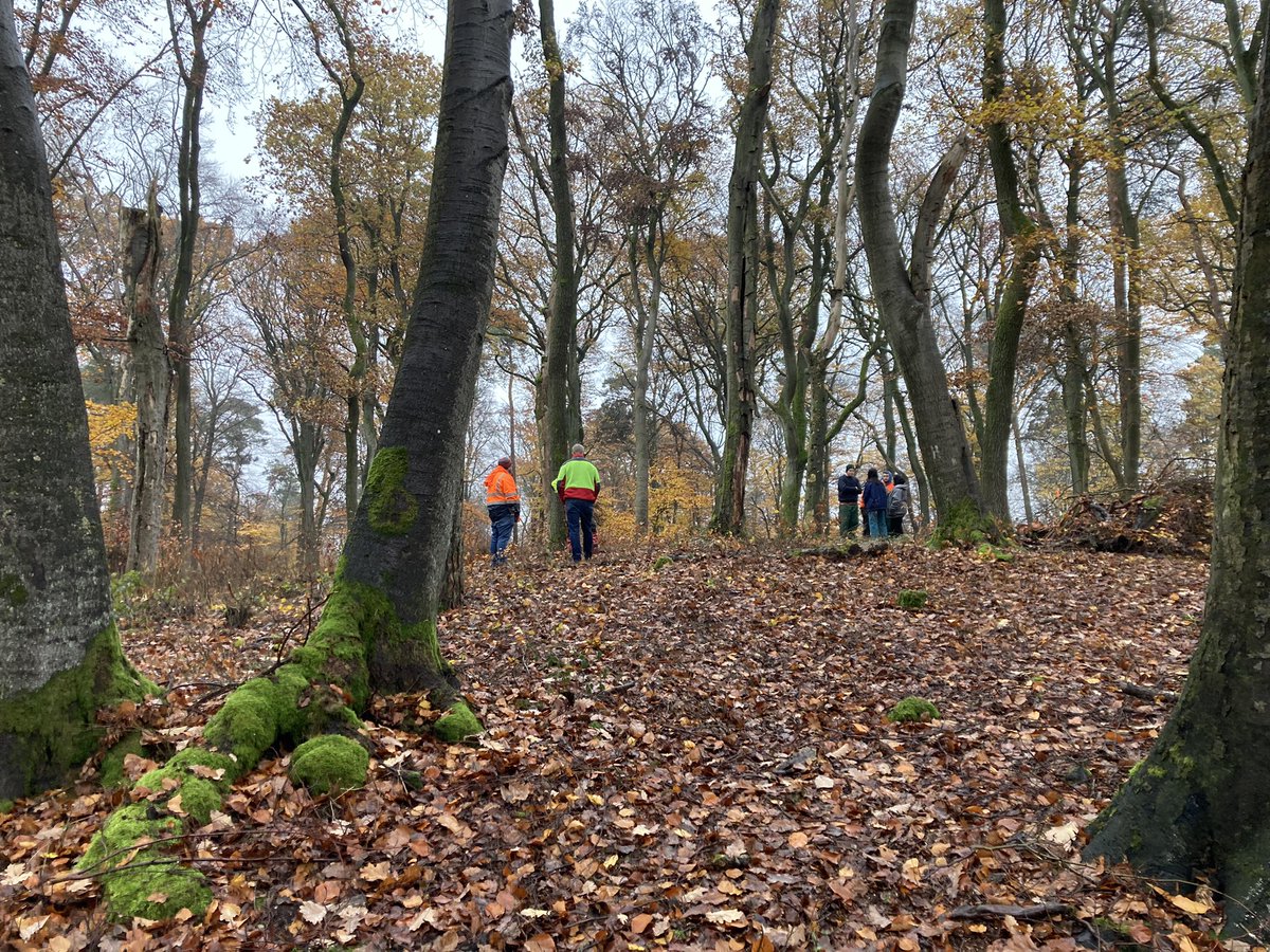 Detlef Gronenborn | @dgron.bsky.social (@dgronenborn) on Twitter photo Clearing the ground for the geomagnetic survey of the large tumulus at #Kapellenberg . Forester <a href="/Leif_Leonhardt/">Leif Leonhardt</a> and mayor <a href="/CVogt79/">Christian Vogt</a> were of great help! Much appreciated! #RGZM, #Hofheim Clearing the ground for the geomagnetic survey of the large tumulus at #Kapellenberg . Forester <a href="/Leif_Leonhardt/">Leif Leonhardt</a> and mayor <a href="/CVogt79/">Christian Vogt</a> were of great help! Much appreciated! #RGZM, #Hofheim