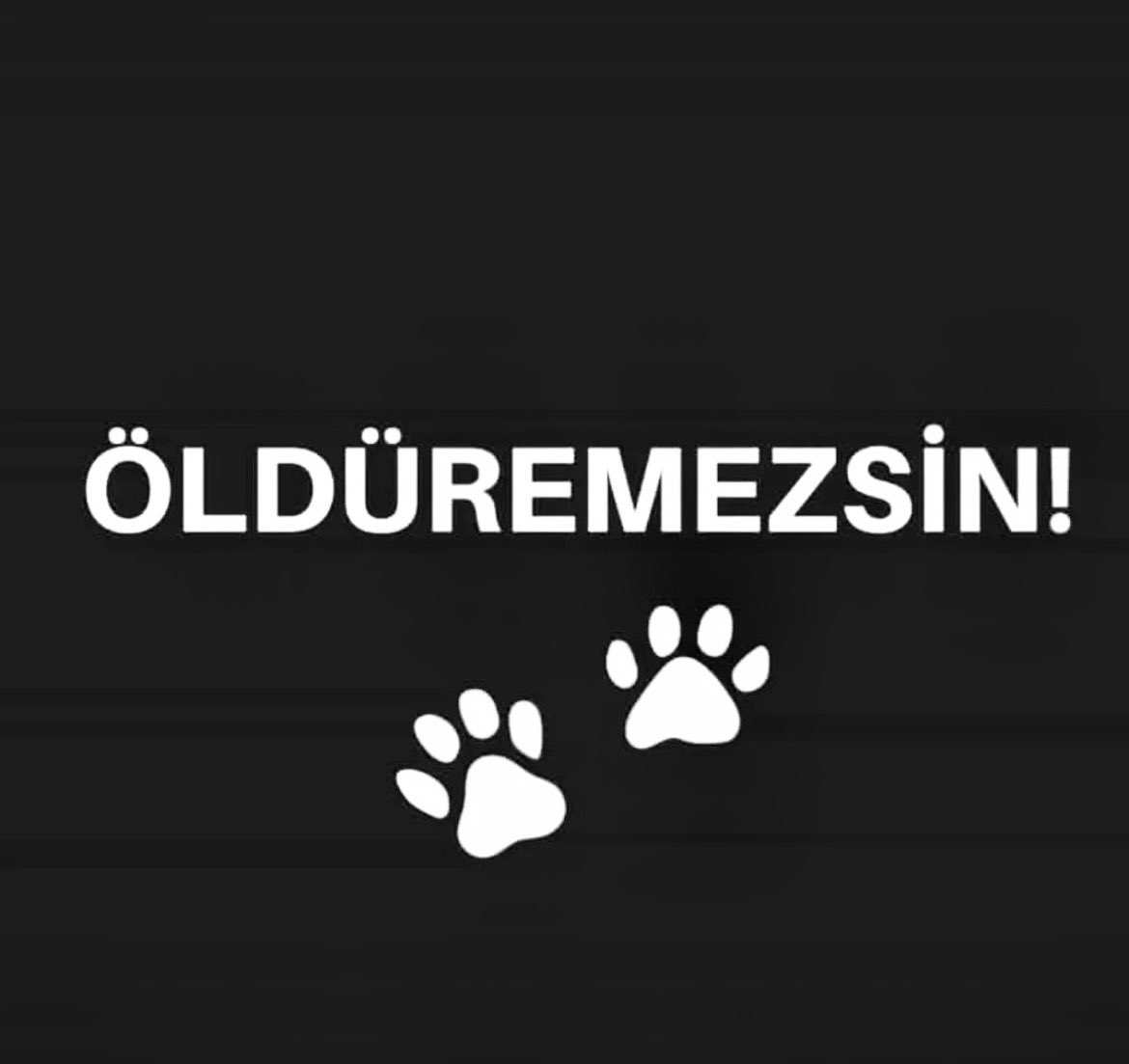 Her kim ağzı olup dili olmayan bizlere muhtaç olan bu zavallı varlıklara işkence edip öldürüyorsa onlarda öyle can versin inşaAllah… 

#KonyadaKatliamVar
#MamaktaKatliamVar