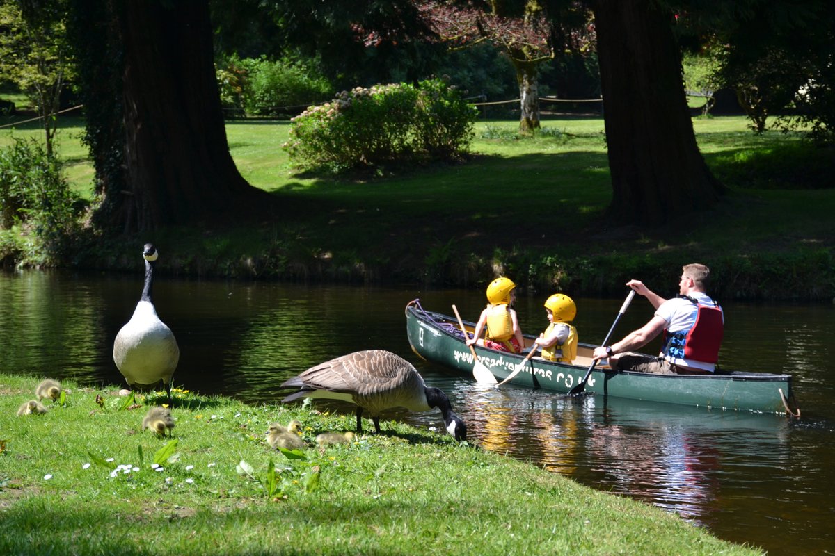 Planning a Devon holiday in 2023 but not sure where to start? Here's all my top tips: rpst.page.link/7YoC #familytravel #familyholidays #Devon