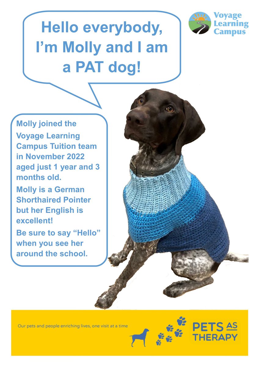 voyagelearning's tweet photo. We’re delighted to welcome Molly to #teamVLC! She can’t wait to meet students and getting to know everyone at school. 😍😍 @PetsAsTherapyUK 

#thisisAP https://t.co/RPyMiR5Sew