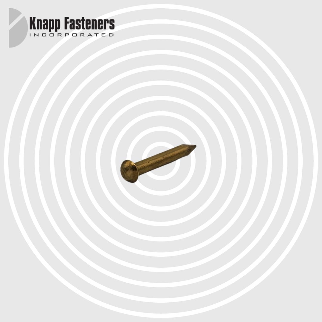knappfasteners's tweet photo. Reduced pricing! 14 X 1/2 Brass Escutcheon Pin over 13k in stock @ $0.0108/ea

Call us to place an order for same-day shipping 📞(519) 653-4558

#supplier #fastenersupplier https://t.co/u4nI7La6OQ