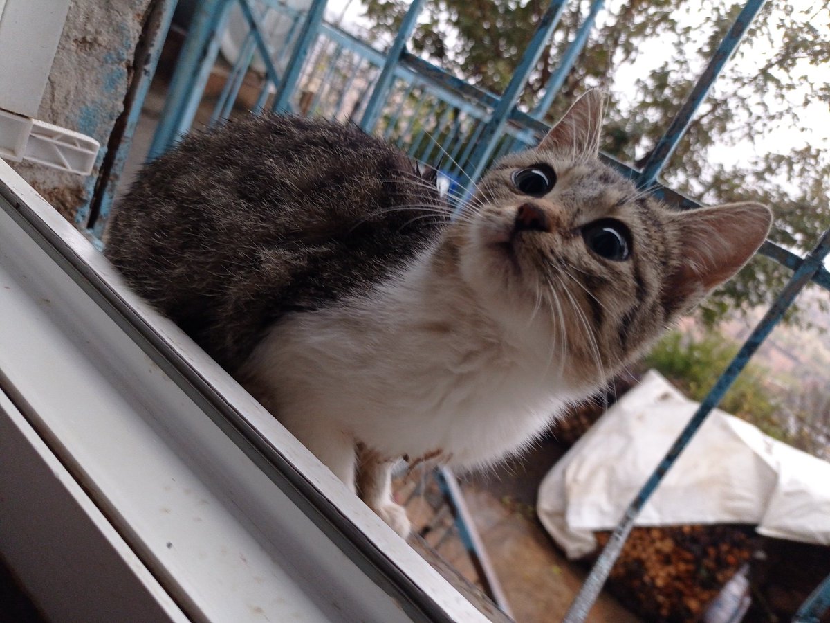 Allah,er ya da geç herkesin gönlüne göre veriyor. Ve inan ki hiç kimse ettiği ile kalmıyor.yani yüreğini ferah tut, sonunda her şey olacağına varıyor..."🌹