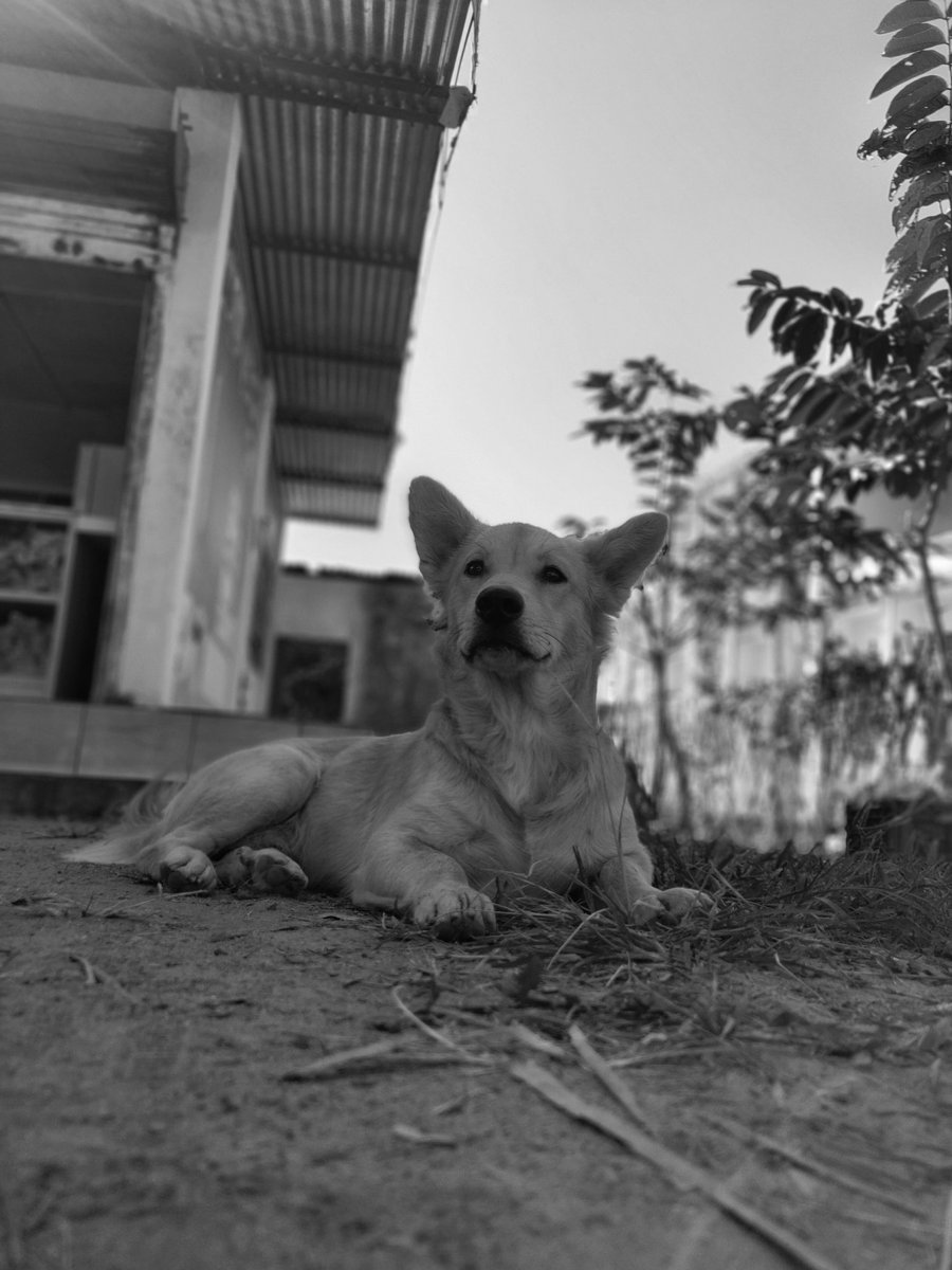vaam29's tweet photo. #rgu #rajivgandhiuniversity #arunachaluniversity #doimukh #naharlagun #itanagar #papumpare #arunachalpradesh  #ronohills  #realme7pro #photography #photooftheday  @instagram https://t.co/XXebWoJ6Aj