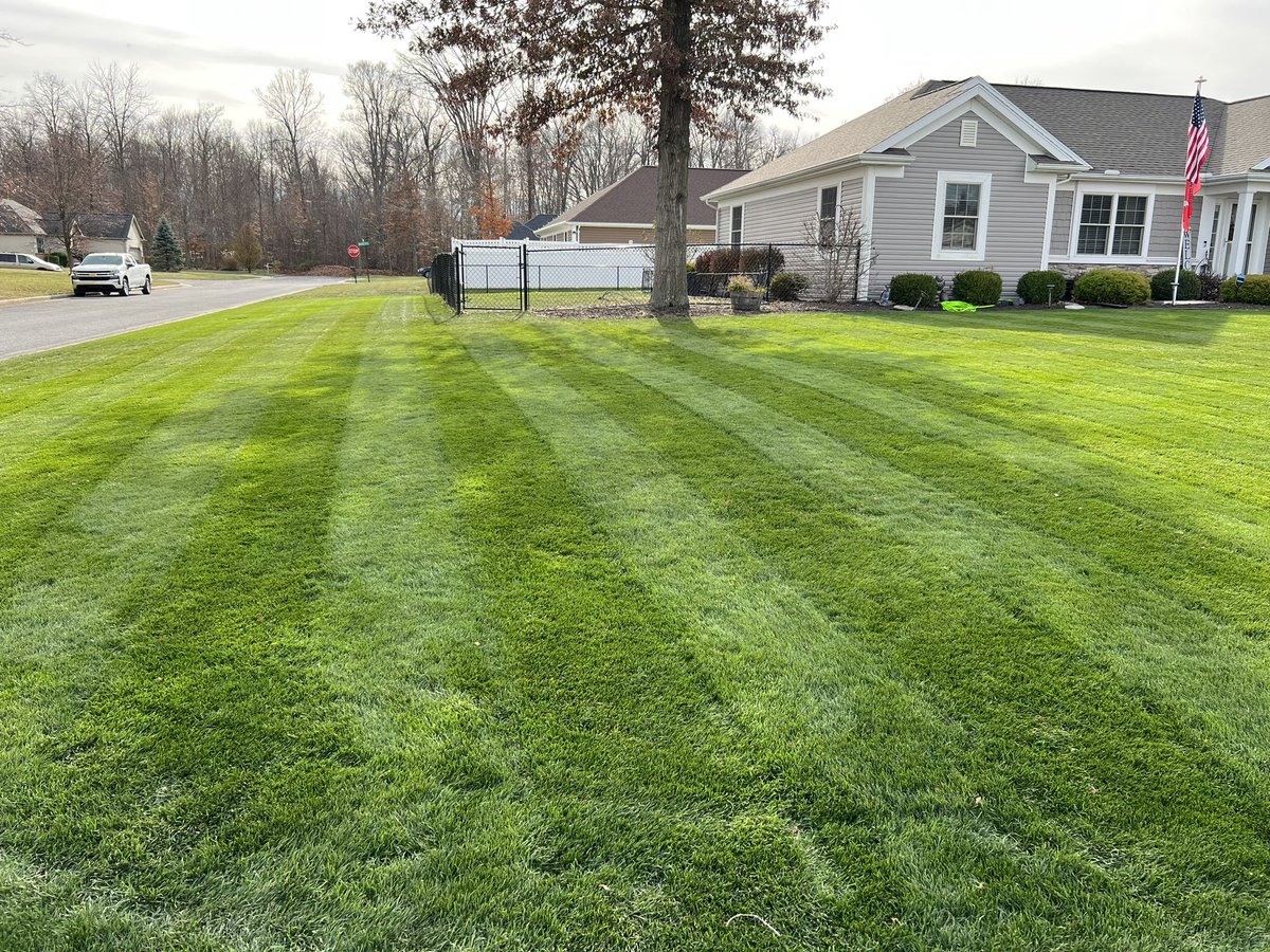 Ben Mauch tweet media