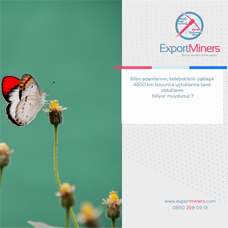 Bilim adamlarının, kelebeklerin yaklaşık 4800 km boyunca uçtuklarına tanık olduklarını biliyor muydunuz? 

💻 exportminers.com

#ilginçbilgi #ilginçbilgiler #Turkey #Turkish #istanbul #yeni #kitap #ilim #Export #funfacts #istanbul #Mersin