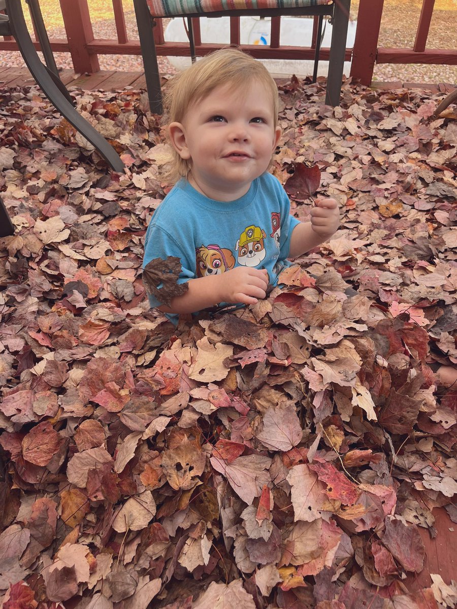 Amanda_Face101's tweet photo. Random fall pics of my babes 🧡 https://t.co/IefLiE5RH1