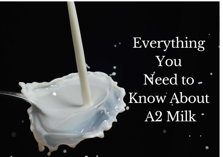 Valleyoffoods15's tweet photo. A2 milk is a dairy product that has been gaining popularity in recent years. Here, we'll tell you everything you need to know about it, including what it is, what the health benefits are, and how it compares to regular cow's milk. https://t.co/EcKwO45JMp #Milk #A2Milk #RealMilk https://t.co/YU0OMnPy2g