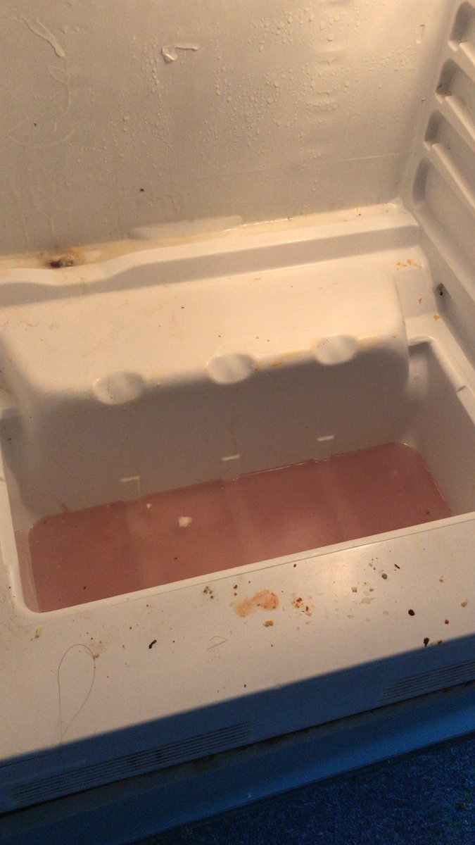 Helen Rice is Showing Off (Purl Power) tweet media