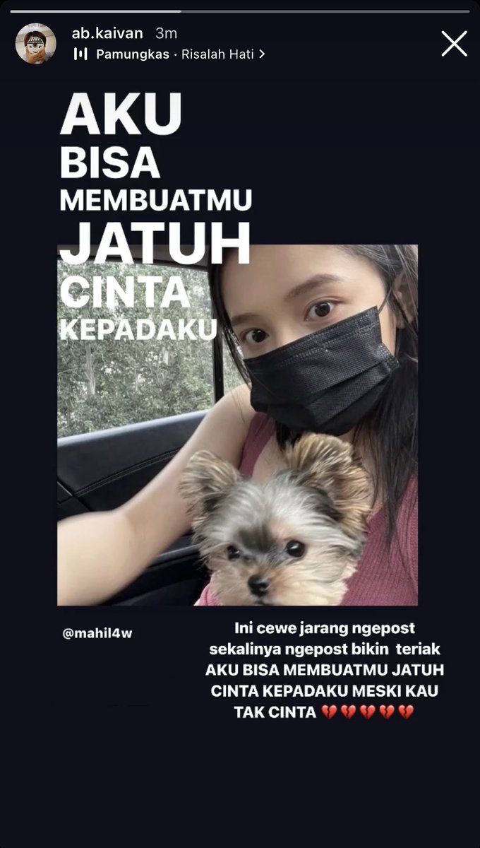 intofairytale's tweet image. Cantik

A Haechan Few Tweets AU