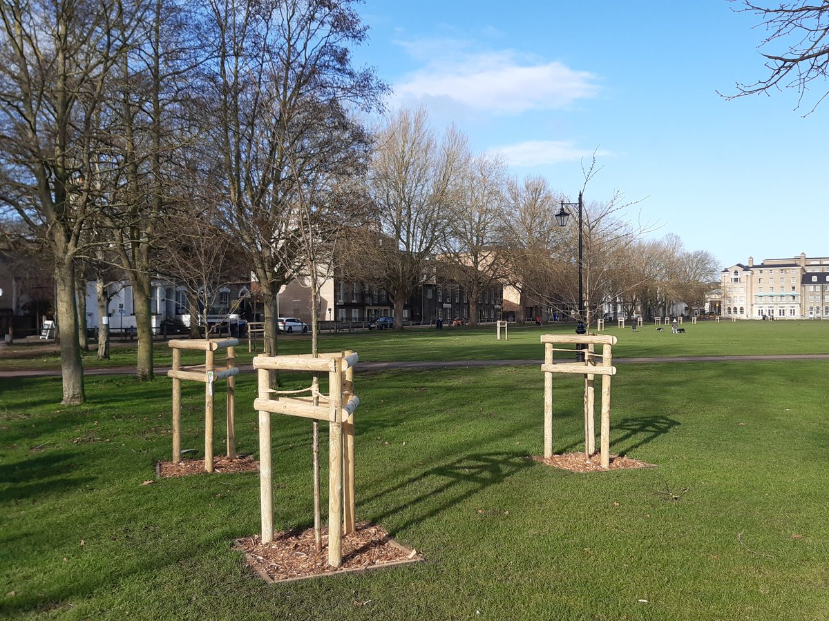 CamCanopyProj's tweet photo. In 2020, @Camcitco committed to uphold the Tree Charter's 10 principles to make #Cambridge greener & address the climate & biodiversity emergencies.
#TreeCharterDay #CamTrees #TreeCharter #UrbanForest https://t.co/459hpFoAAm