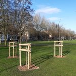 Photo by Cambridge Canopy Project (@CamCanopyProj)