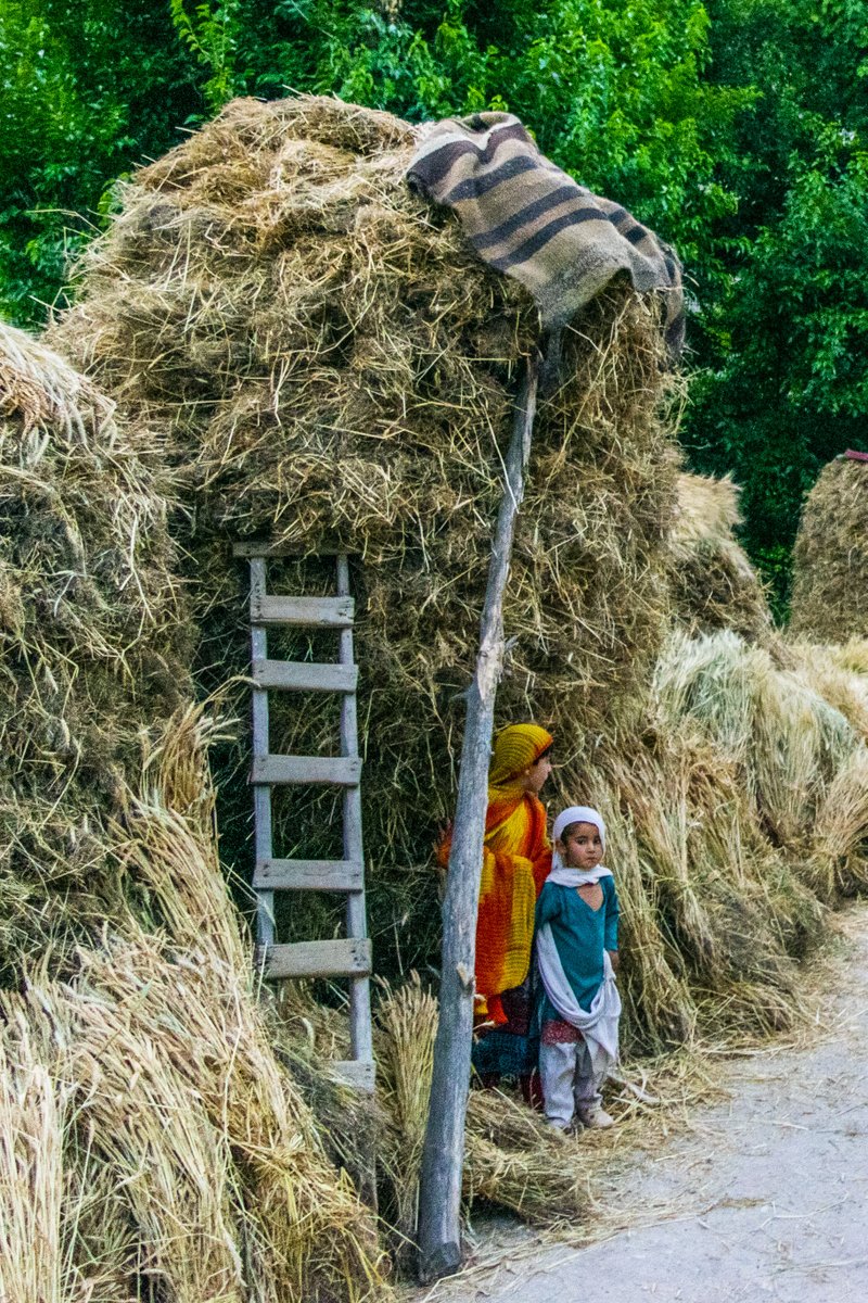 PakistanHighlan's tweet photo. Here we live in peace, grandeur, versatility and purity -  "Welcome to Pakistan"! Have a taste of this God blessed land of variety!
#Pakistan #Nature #Travel https://t.co/uVOlvBHOVH