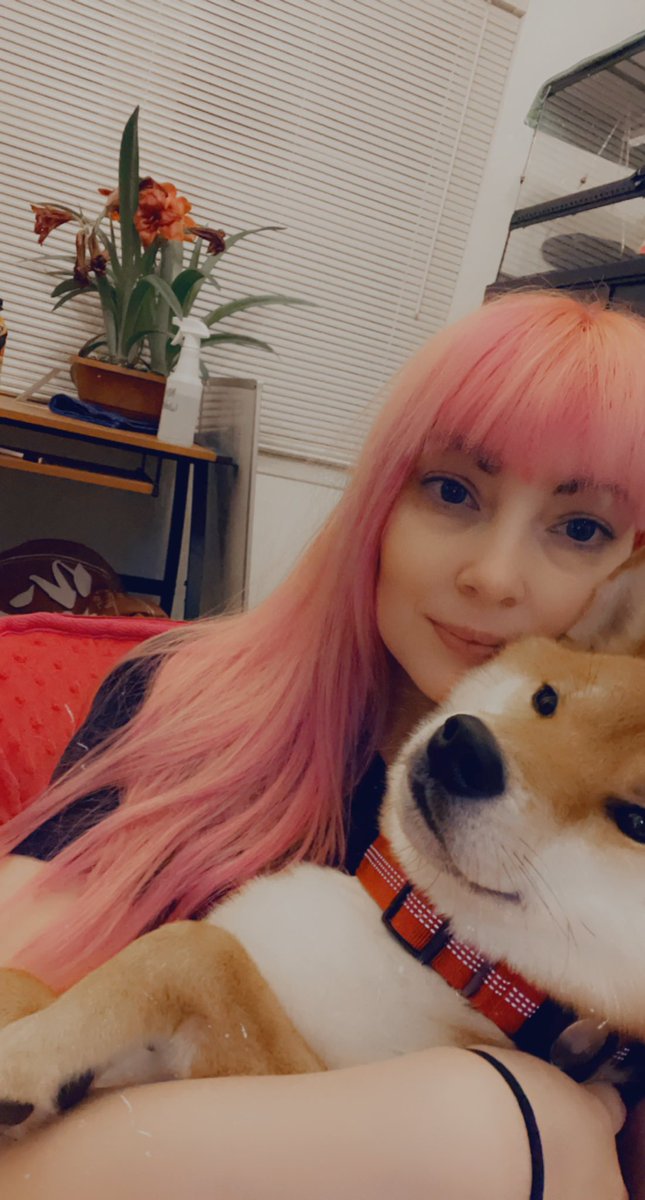 heyjadebarry's tweet photo. Gaming buddy, cuddle buddy. https://t.co/EmdcFp510v