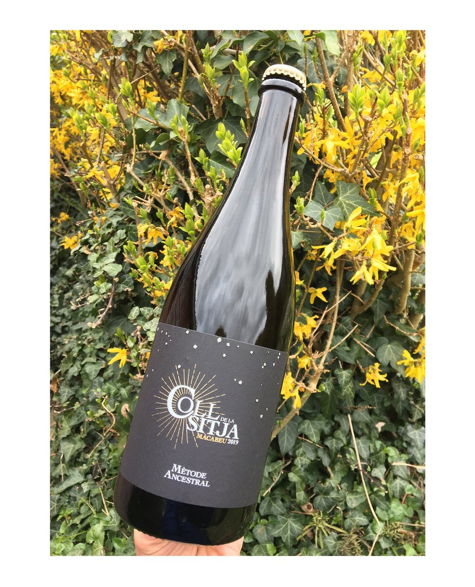 Coll de la Sitja Ancestral 2019. Exquisite pet nat by Sergi and Marti. We have just a few of these beauties left.😍

#Laltrevi #catalanwine #catalonia #drinkmorecatalanwine #natural #organic #biodynamic #lowintervention #wildwine #yes #wineforall #veganwine