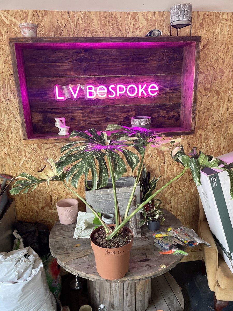 L V Bespoke tweet media