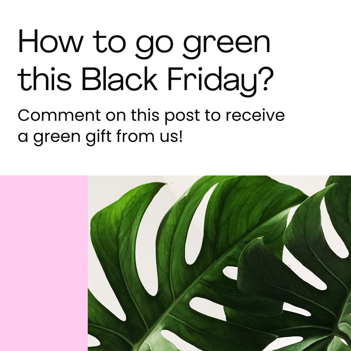 Black Friday discounts facilitate excessive consumption and push people to convince themselves that if they don't participate they will miss out on a big opportunity.

One of the most dangerous consequences of Black Friday is that it fuels throwaway culture, as well as the fast/d