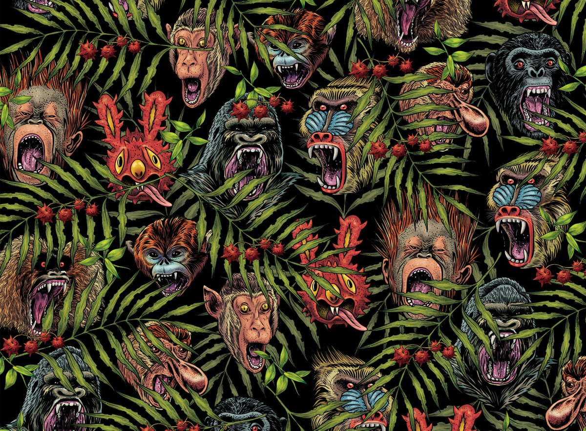 Jungle Class 🌳🐾 tweet media