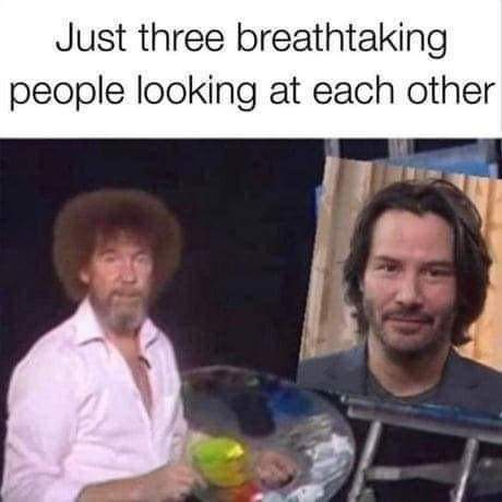 WholesomeMeme's tweet photo. https://t.co/P8IBBfJMSE